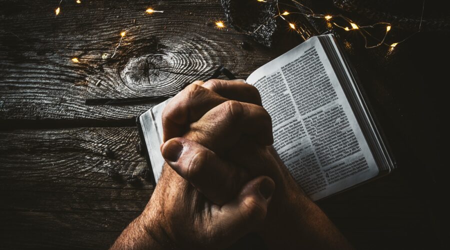 person holding book page with string lights