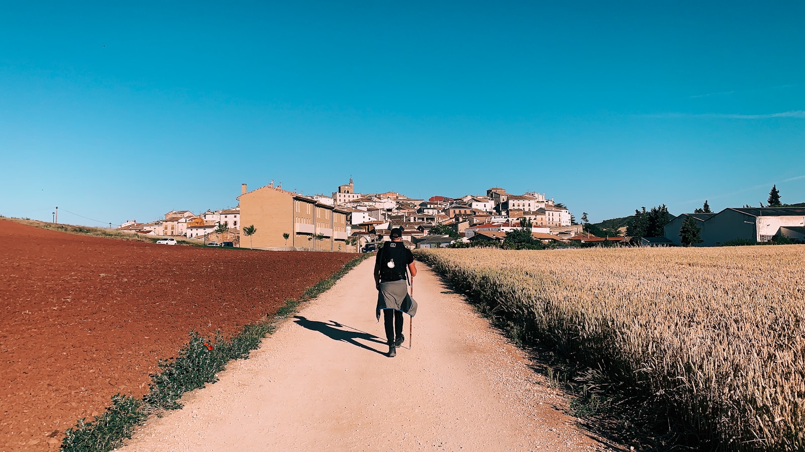 person in black shirt walking on dirt road between fields