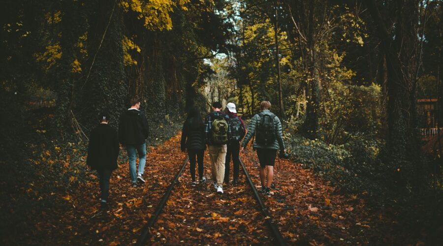 six person walking on train rail surrounded by tall trees at daytime