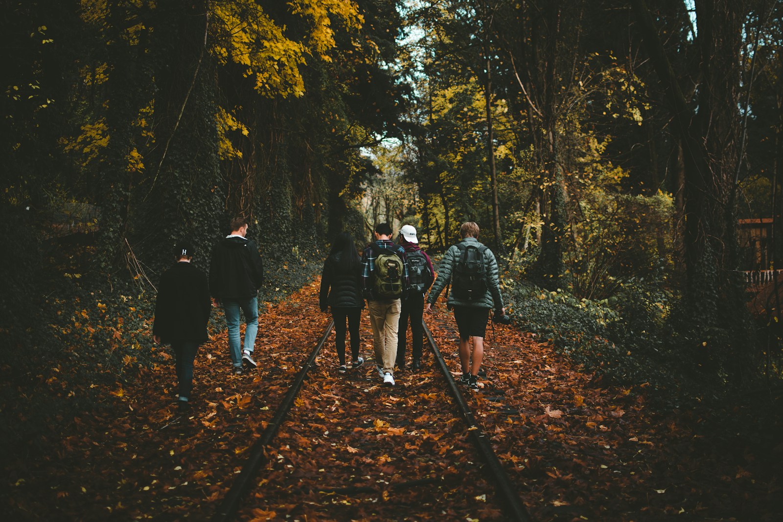 six person walking on train rail surrounded by tall trees at daytime