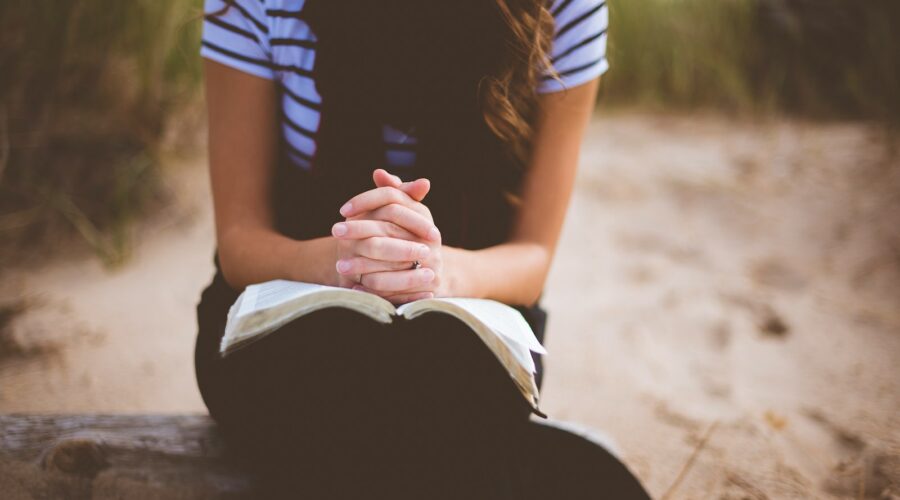 woman sitting on brown bench while reading book