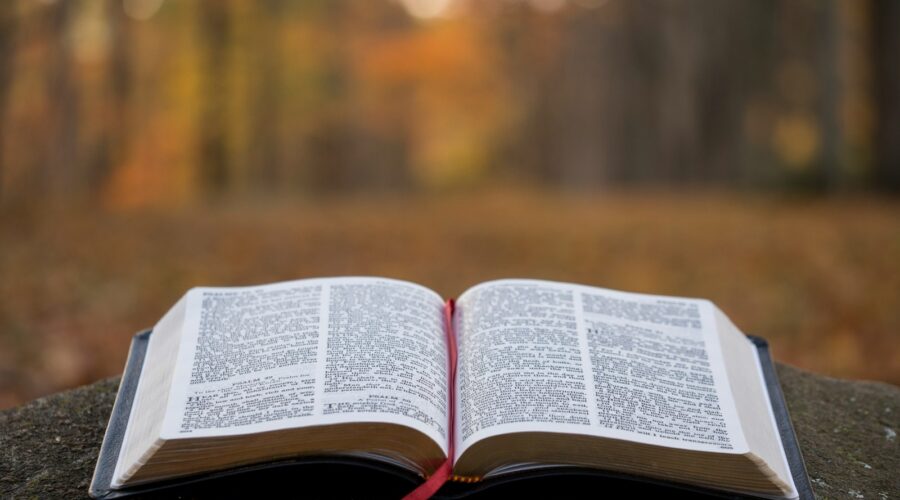 bible page on gray concrete surface